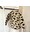 alwero-kinder-jacke-leo-junior-gepard