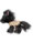 miss-melody-plueschpferd-black-angel-20-cm-13186