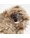 steiff-teddybaer-1910-replica-rms-35-cm-mohair-dunkelblond