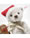 steiff-teddybaer-weihnachtsmann-18-cm-beige-005961